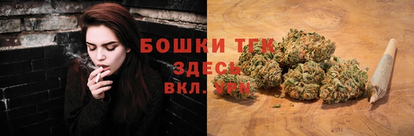 прущие грибы Заволжье
