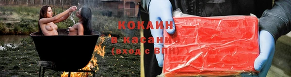 прущие грибы Заволжье