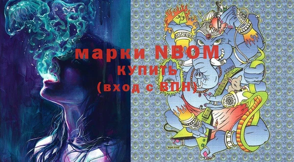 прущие грибы Заволжье