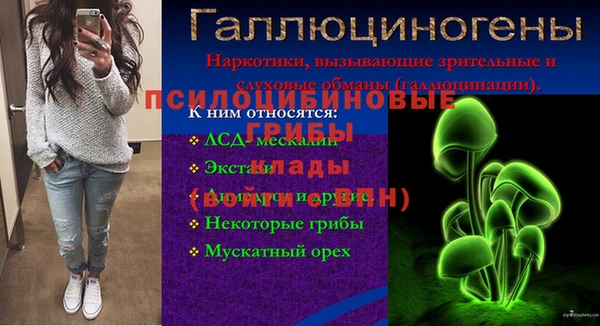 гидропоника Заволжск