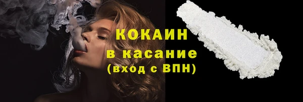 шишки Бежецк