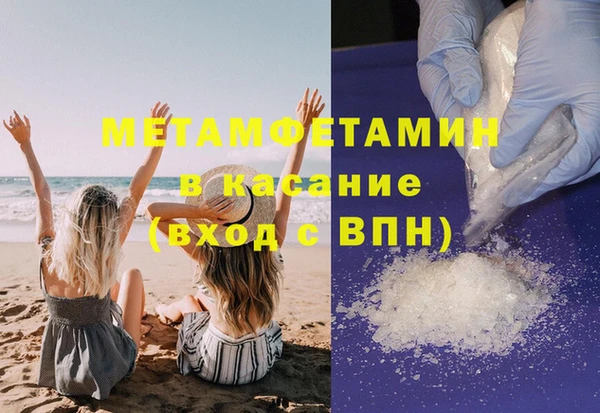 прущие грибы Заволжье