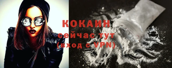 прущие крисы Заводоуковск
