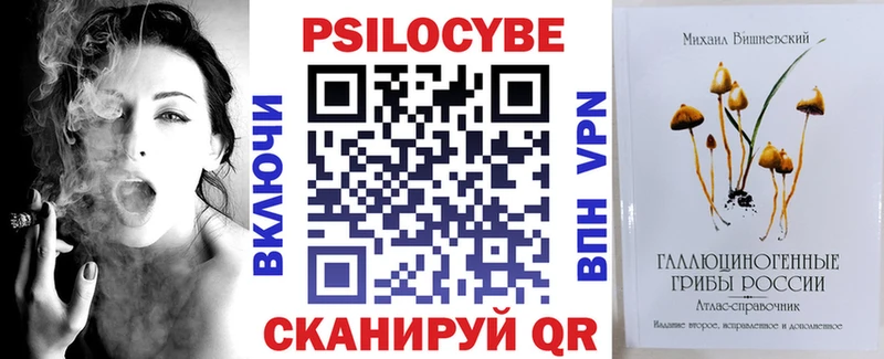 Псилоцибиновые грибы мицелий  где купить   мега зеркало  Калач-на-Дону 