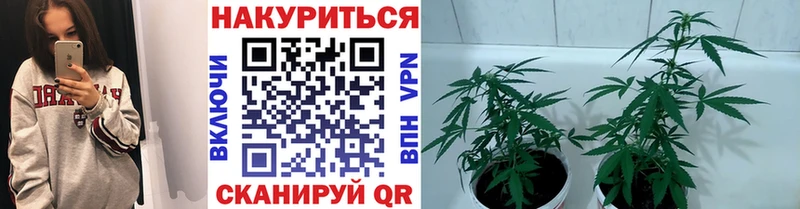 Шишки марихуана AK-47  мега рабочий сайт  Калач-на-Дону  наркошоп 